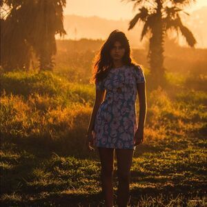 ZARA CUT OUT JACQUARD DRESS